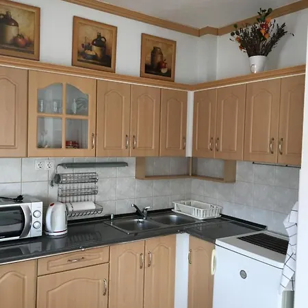 Mavrikiy Apartment
